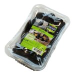Moules de hollande msc - la barquette de 2kg