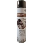 Nettoyant freins 600ml carrefour - la bouteille de 600 ml