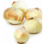 Oignons doux des cvennes agrocologie reflets de france - le filet de 500g