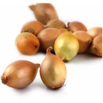 Oignons saucier sans residus de pesticides - le filet de 350g
