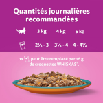 Pte pour chat adulte en gele cabillaud poulet saumon dinde thon truite duo terre mer whiskas - la ...