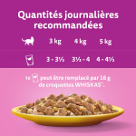 Pte pour chat adulte en gele poulet canard dinde volaille les festins whiskas - la bote de 12 sachets ...