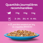Pte pour chat adulte en gele saumon thon cabillaud poisson blanc les poissons favoris whiskas - la ...