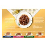P�t�e pour chat adulte noisettes en sauce boeuf dinde saumon poulet gold gourmet - le 12 bo�tes de 85g ...