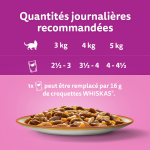Pte pour chat adulte en sauce agneau poulet carottes poulet dinde canard boeuf volaille tasty mix recettes ...