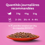 Pte pour chat adulte en sauce poulet agneau boeuf whiskas - la boite de 12 sachets