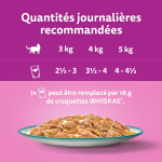 Pte pour chat adulte en sauce saumon carotte poisson blanc lgume thon poisson blanc cabillaud saumon ...