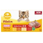 Pte pour chat junior en terrine poulet volaille poulet lait boeuf lait vitalive carrefour companino ...