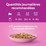 Pte pour chat junior en gele poulet dinde canard volaille les festins whiskas - la bote de 12 sachets ...