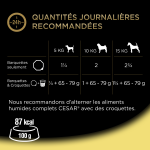 Pte pour chien adulte petit < 10kg terrine poulet cesar - la barquette de 300g
