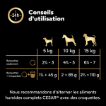 Pte pour chien adulte terrine poulet boeuf agneau dinde cesar - la bote de 4 barquettes