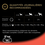 Pte pour chien adulte terrine veau carottes cesar - la barquette de 300g