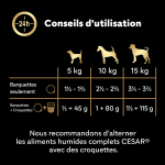 Pte pour chien adulte terrine veau jambon agneau boeuf cesar - la bote de 4 barquettes