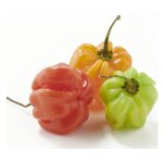 Piment antillais - les 200g