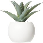 Plante grasse pot h13 - l'unit