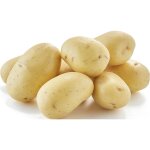 Pommes de terre pur�e / four / potage agroecologie - le filet de 2, 5kg