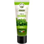Pure de coriandre les mets de provence - le tube de 80g