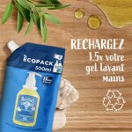 Savon liquide recharge mains action anti - bactrienne  l'huile essentielle de sauge le petit marseillais ...