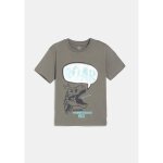 T - shirt garon kaki 5 - 6 ans tex