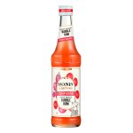 Sirop bubble gum monin - la bouteille de 33cl