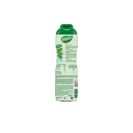 Sirop menthe verte teisseire - la bouteille 60cl