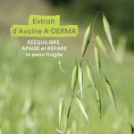 Baume � l�vres hydratant apaisant et r�parateur l�vres fragiles avoine rhealba a - derma - le stick de ...