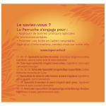 Sucre mini irregulier roux la perruche beghin say - la boite de 475g