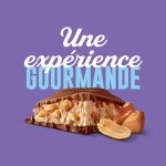 Tablette de chocolat lait cacahutes et caramel milka - la tablette de 276 g