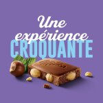Tablette de chocolat lait noisettes entires milka - la tablette de 200 g