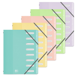Trieur school life - 21 x 29, 7 cm - 8 positions oxford - le trieur en coloris alatoire