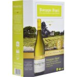 Vin blanc a. o. p. bourgogne aligoté la cave d'augustin florent - la fontaine de 3l Vin blanc a. o. p. bourgogne aligoté la cave d'augustin florent - la fontaine de 3l