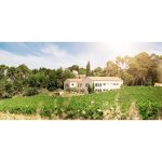 Vin blanc igp pays d oc chardonnay domaine de cibadies - la bouteille de 75cl