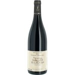 Vin rouge a. o. p. ctes du rhne vielles vignes julinas domaine des terres brunes - la bouteille