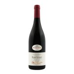 Vin rouge a. o. p. bourgogne santenay pinot noir charles vienot - la bouteille
