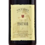 Vin rouge a. o. p. alsace pinot noir - la bouteille