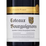 Vin rouge a. o. p. bourgogne coteaux bourguignons la cave d'augustin florent - la bouteille Vin rouge a. o. p. bourgogne coteaux bourguignons la cave d'augustin florent - la bouteille
