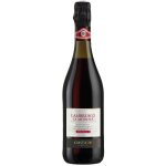 Vin rouge a. o. p. italie ptillant lambrusco d. o. c. amabile di modena - la bouteille