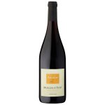 Vin rouge a. o. p. moulin -  - vent arnaud aucoeur cuvee tradition vieille vignes - la bouteille