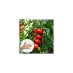 1. 8x5m filet  grimper pour plantes de jardin - tomates - vigne - grande grille