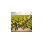 Arrache - mauvaises herbes de jardin avec pédale d'accès Arrache - mauvaises herbes de jardin avec pédale d'accès