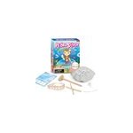 Jeu de bracelets en forme de coquillage  assembler pour les enfants, perle