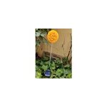 Lampe solaire de jardin  bougie, 6 led, pissenlit, couleur changeante, orange