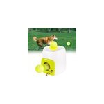 Lanceur automatique de balles de tennis jouets d'entraînement pour chiens et animaux de compagnie Lanceur automatique de balles de tennis jouets d'entraînement pour chiens et animaux de compagnie
