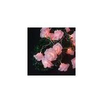 Lanterne de fe 3m 20 led simulation de rose dcoration proposition romantique, rose chaude rose + blanche ...