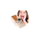 Spider prank wooden box april fool's day fun surprise toy Spider prank wooden box april fool's day fun surprise toy