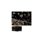 Vue de la nuit - peinture sur papier  gratter - diy pour adultes et enfants, style 4
