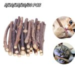 10 / 20 / 30 / pcs cataire naturelle pour animaux de compagnie chat tige molaire dentifrice b�ton fruits ...
