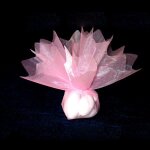 10 ronds de tulle voile - rose