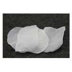 100 petales de rose tissu blanc