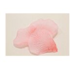 100 petales en tissu rose